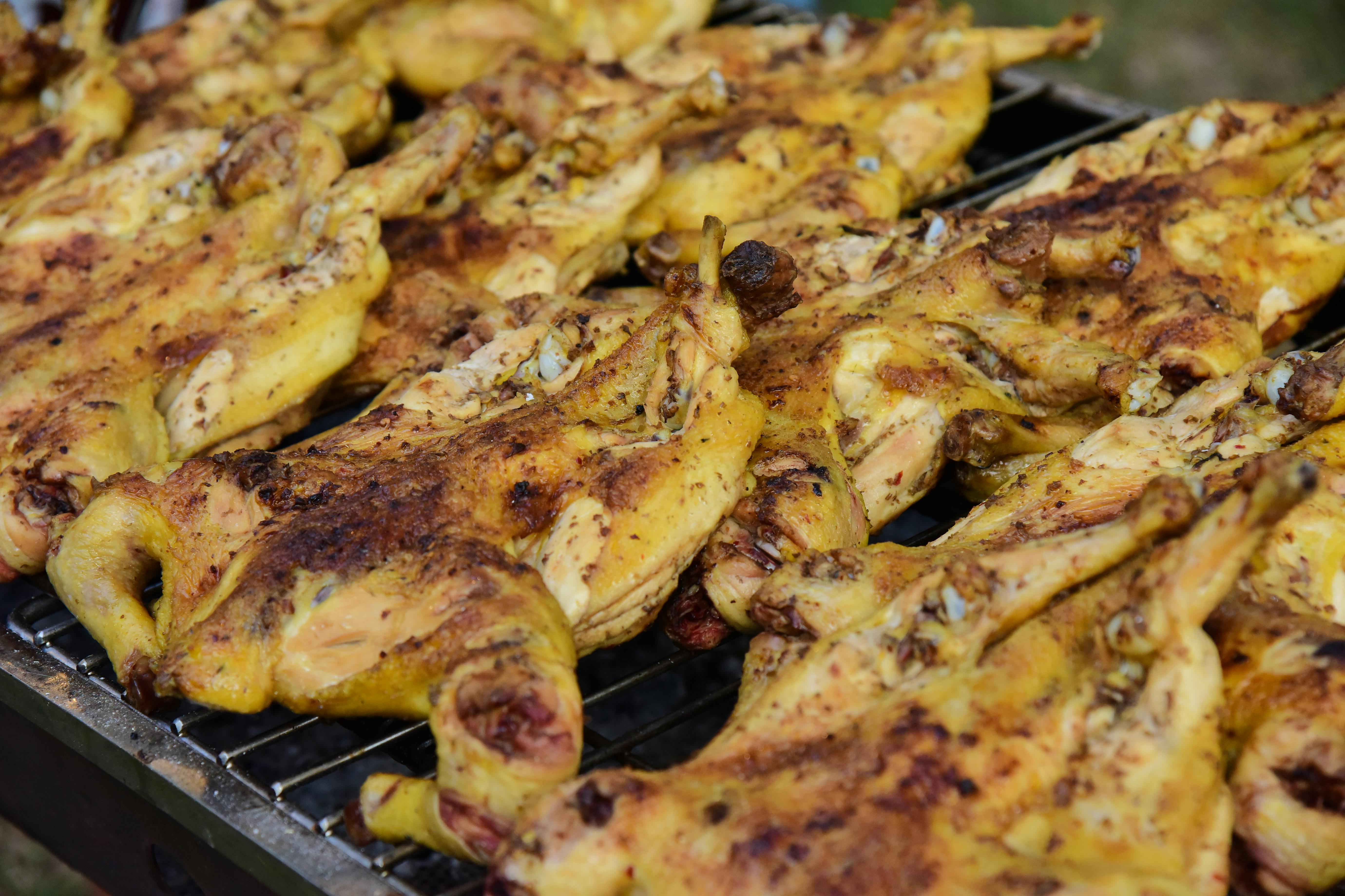 Panini Pulled Chicken